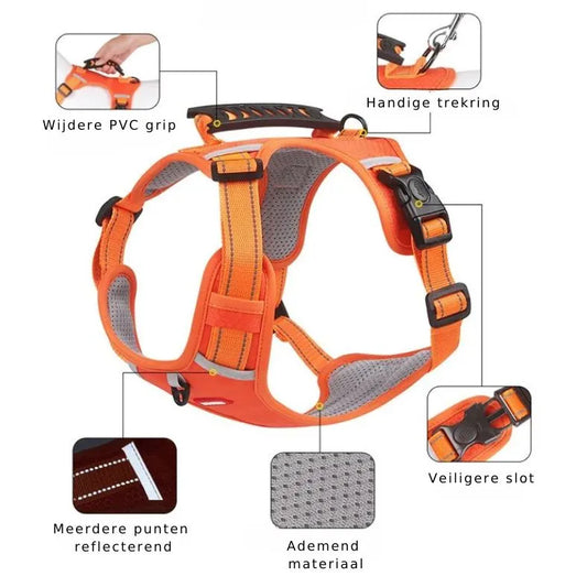 Reflective Stress- Relieving Harness - So-Shop.fr