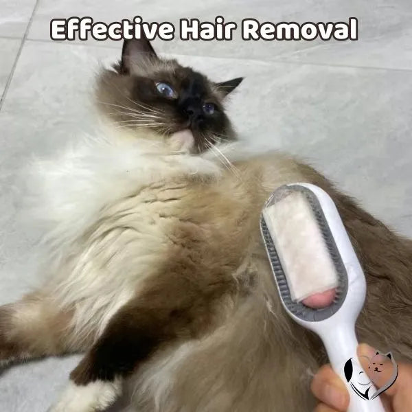 Pet Hair Removal Brush - So-Shop.fr