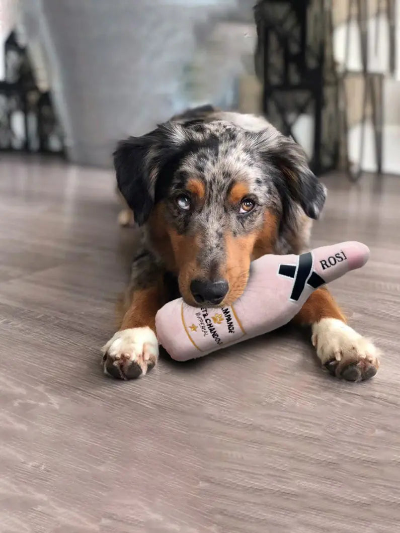 Whiskey Beer Dog Toy - So-Shop.fr
